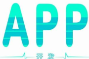 选择优秀的安卓软件开发公司-关键要素与解决方案解析