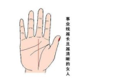 考儿的选择,感情纠葛的解决方案解析