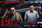 十部扫黑必看经典电视剧，感受正义之光-剧情解析与推荐