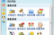 淘宝卖家软件,提升店铺管理效率的利器-功能与选择解析