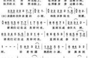 同桌的你，青春记忆里的旋律-歌词解析与情感共鸣
