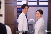 法政先锋2粤语版，探秘香港法治故事-剧情解析与角色剖析