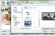 电子相册软件,功能与选择标准-实用技巧解析