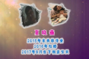 非诚勿扰2025：探讨情感与现实的碰撞