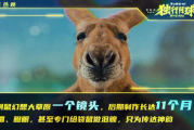 神鼠电影网马圈第一页解析-优质资源与观影体验