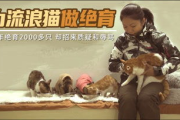 【深度解析】呱呱呱视频：如何在海量内容中脱颖而出？