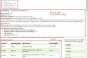精选好看手机版电影网站-观影体验与SEO优化解析