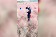 落花电影网，高品质观影体验的在线平台-全面解析与使用指南