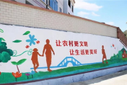 秋霞电影网应对新26种影片类型,提升用户体验与SEO效果解析