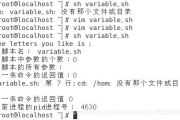 《小幸运》简谱解析与学习指南-钢琴弹奏入门