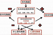 绳艺影视制作技巧与艺术价值解析-SEO优化策略探讨