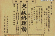 塞玉势艺术魅力解析-鉴赏要点与收藏价值探讨