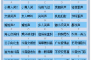 直播音效软件,提升直播互动体验-选择与使用指南