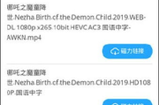 bt兔子磁力天堂,高效磁力链接搜索平台-使用指南与优化策略