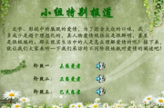 《恋爱先生》电视剧情感解析-恋爱智慧与关系处理