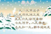 他似火,情感表达的艺术呈现-深度分析与创作技巧