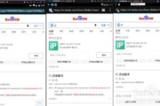 电脑换IP软件推荐及使用方法-网络隐私保护解决方案
