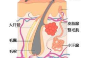 腋下异味揭秘：如何判断自己是否患有狐臭？