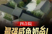 《情满四合院》：经典怀旧剧的魅力依旧，免费观看下载攻略一览