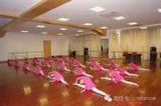 现代舞蹈教学视频大全-舞蹈爱好者必备资源