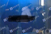 晟天电影网,高品质电影资源-观影体验全面提升