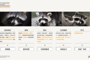 宅宅急看电影网,便捷在线观影解决方案解析