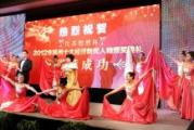 暖暖直播：探索虚拟偶像的实时互动魅力