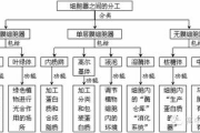 概念图软件,提升思维效率-最佳选择解析