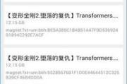 种子搜索神器,网络资源搜索利器-使用指南与技巧解析