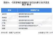 谍影网2024,高效网络安全解决方案-全面防护策略解析