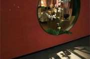 日本与韩国：文化传承与经济发展比较分析