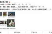 影视大全免费版下载：真的存在完美无缺的观影天堂吗？