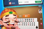 全民十三水手机游戏玩法解析与优化策略