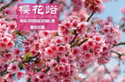【樱花草观赏指南】2025年免费高清在线观看攻略