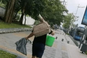 旗袍美学，传统与现代的完美融合-旗袍美探解析