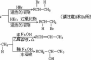 禁忌解析，文化冲突与个人挑战-禁忌5的深层影响探究