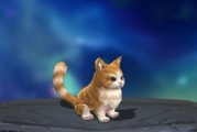 灵猫传手机游戏下载与特色体验-畅享奇幻冒险之旅