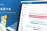 软件项目管理,提升开发效率-有效策略与实践解析