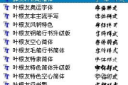字体软件挑选攻略，专业设计师必备工具解析