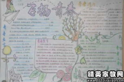 电子手抄报创作软件推荐与使用技巧-功能解析与选择指南