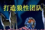 与狼共舞：如何在市场竞争中保持优势-战略解析与实践指南