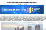 强势占有：2025年房地产市场的最大赢家
