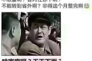 痴心绝对歌词，情感剖析与创作背后的故事
