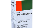 乳液吐司樱花动漫美食制作解析-动漫文化与生活结合