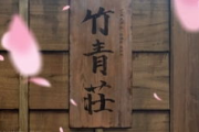 樱花飘落之时，动漫情怀何处安放？——详解免费观看樱花之恋的正确姿势