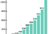 中国软件股投资价值分析-行业趋势与市场前景解析