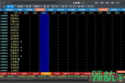 大智慧交易软件,高效金融分析工具-操作指南与投资策略解析