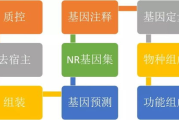 电视剧迷福利：2025年免费全部在线观看指南