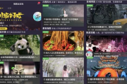 飞猪电影网站,高清电影在线观看解决方案解析