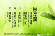 善良的儿媳，家庭和谐的守护者-塑造理想家庭关系的关键要素